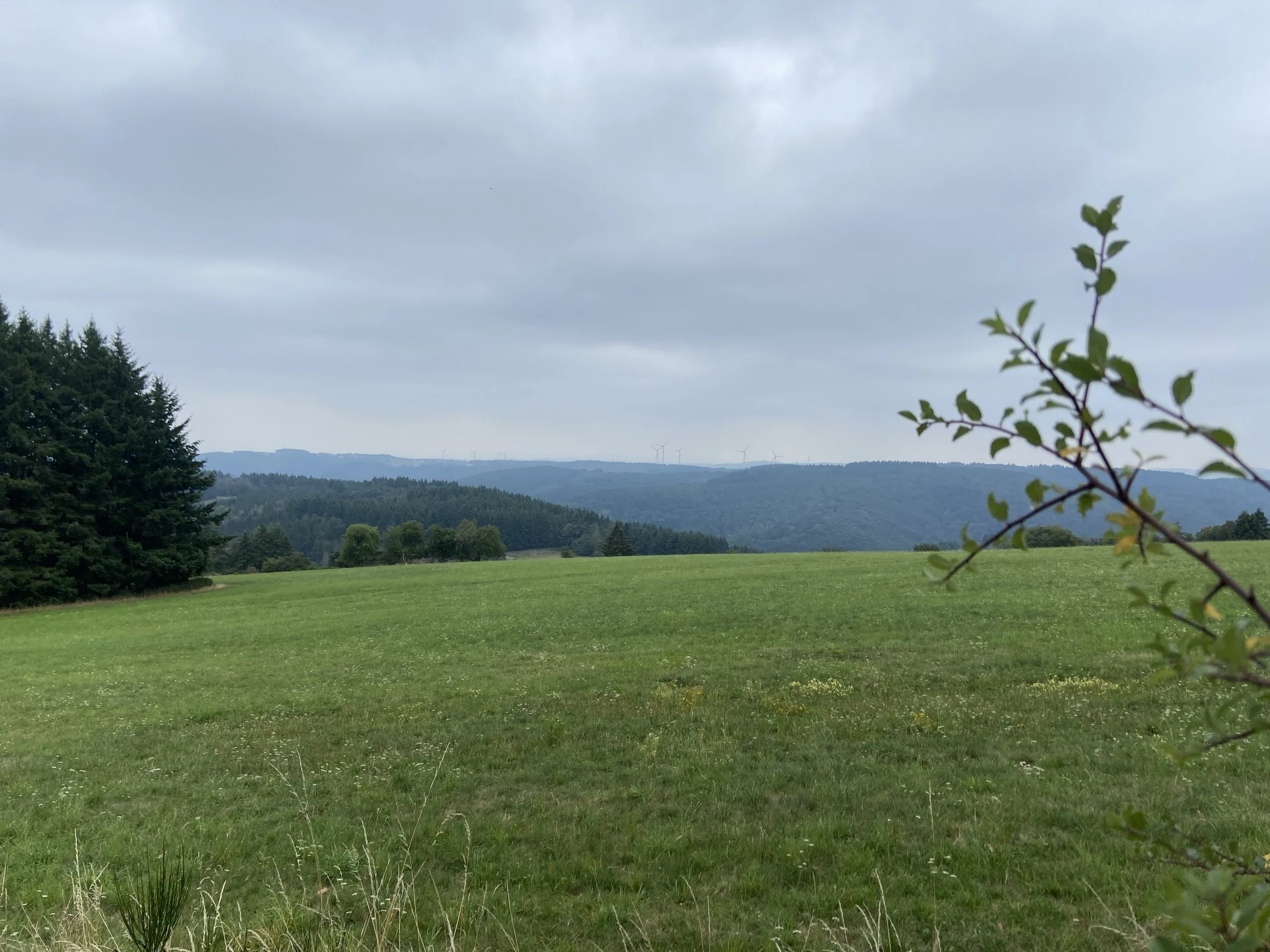 Aktuell – Langenfeld Bild 4